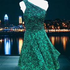 Halston Heritage Dress Womens Size 6 Emerald Animal Print A-line Ruched Dress