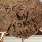 Bild 11 von 12