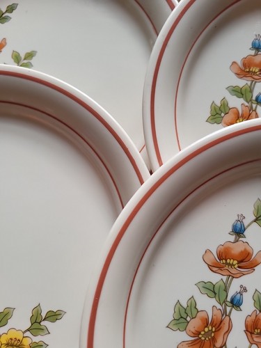Piatto insalata pranzo in pietra angolo giardino reale Corning set vintage da 6 e 1 tazza - Foto 4 di 11