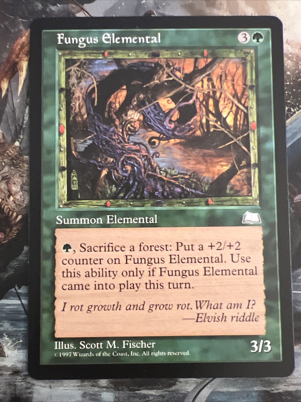 1x Fungus Elemental Weatherlight LP MTG Magic the Gathering x1 MKE