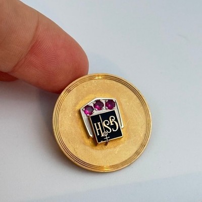 HSB Health Systems Bureau Nurse Doctors Pin 12K Gold Filled Rhinestones