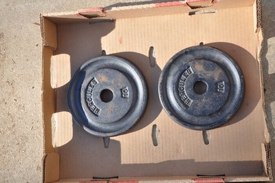 Hercules 10 pound  Bar Bell  Weight Plates 20 lbs  pounds total