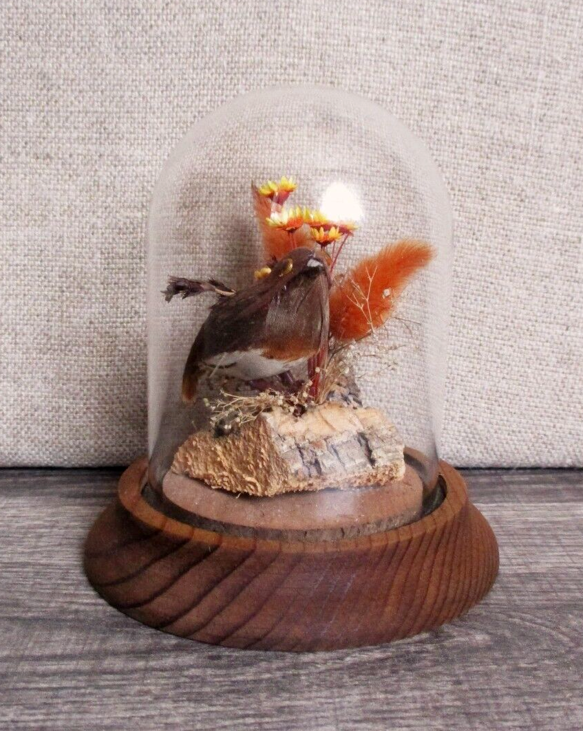 Vintage Wood and Glass Cloche Dome with Dried Floral Bouquet and Bird Terrarium-image