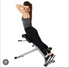 Sunny 45 Degree Hypertension Roman Chair sf-bh6629 New