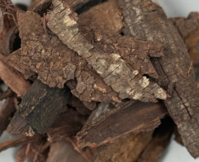 Mexican Miracle Tree Whole Bark  (Tepez) Fresh Batch Mimosa