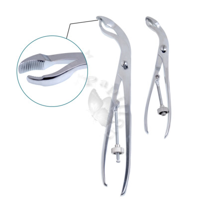 Bone Holding Forceps With Thread Fixation Bone Forceps veterinary equipment