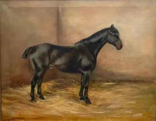 LMOP1464L 100% Handmade Painted Animals Black Horse Oil Painting Art On Canvas
