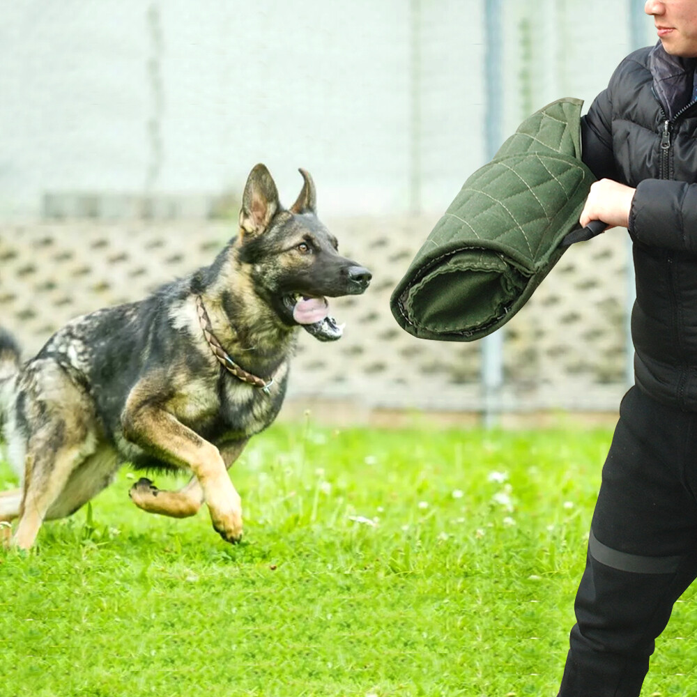 Agility Training Pro K9 Dog Training Dog Agility Training Platform