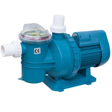 High Pressure Efficient 21m3/h Swimming Pool Pump For Pool Pumping And Filling