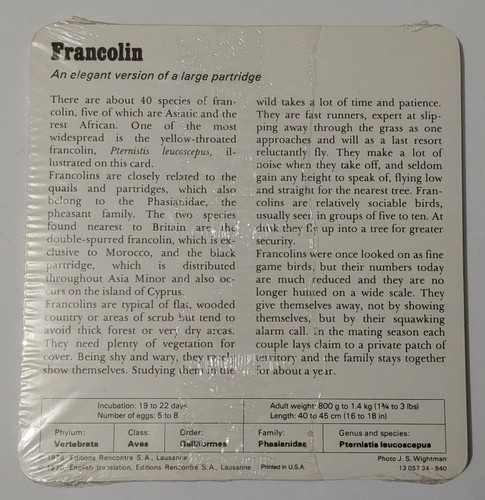 1976 Editions Rencontre S.A. Lausanne Animal Flash Cards Camel 24-Pack - Picture 4 of 6