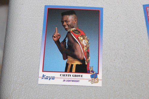 1991 Kayo Boxing Card Complete Finish Fill Your List Set U-Pick - Picture 387 of 468