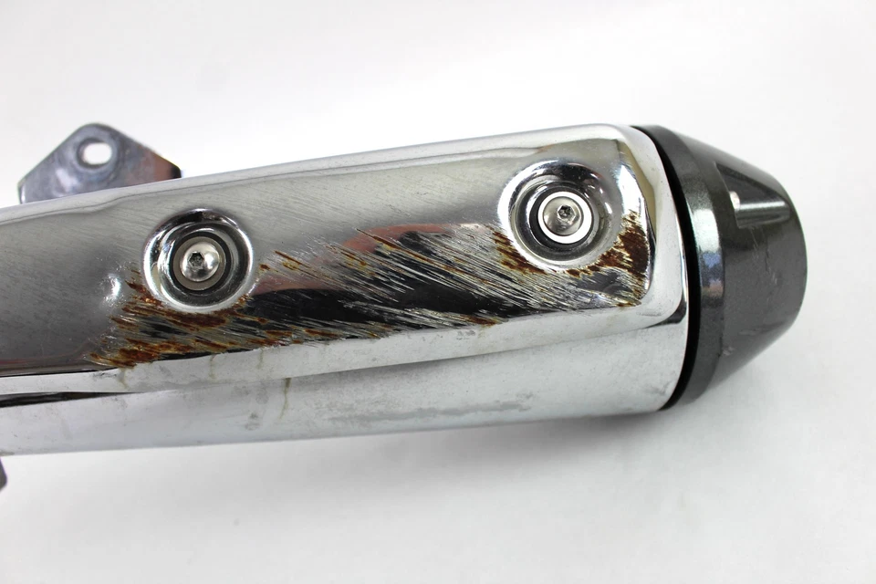 15 Suzuki GW250F Inazuma 250 2015 lado izquierdo deslizamiento silenciador escape Foto 3 de 4