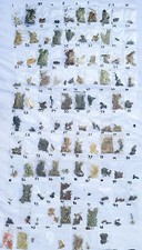 Rare Magical 54 Herbs Set Named ~Spells Pagan Wicca Ritual