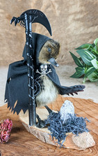 Grim Squeaker Baby Duck duckling gift species: A. Platyrhynchos domesticus gift