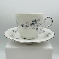 Johann Haviland Buvaria Blue Garland Teacup Saucer China Set Germany