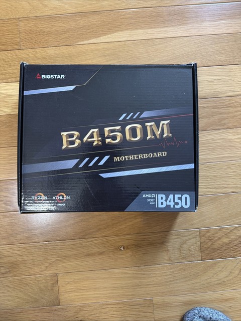 Biostar B450MH