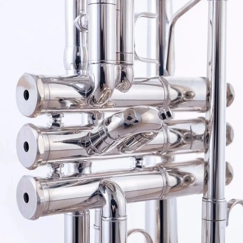 Tromba professionale goccia argento dalla E alla D con due set - Foto 9 di 12