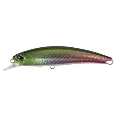 DUO REALIS FANGBAIT 140SR AFA3333 Wild Arapaima, Lenght mm 140, Floating  Fish... | eBay