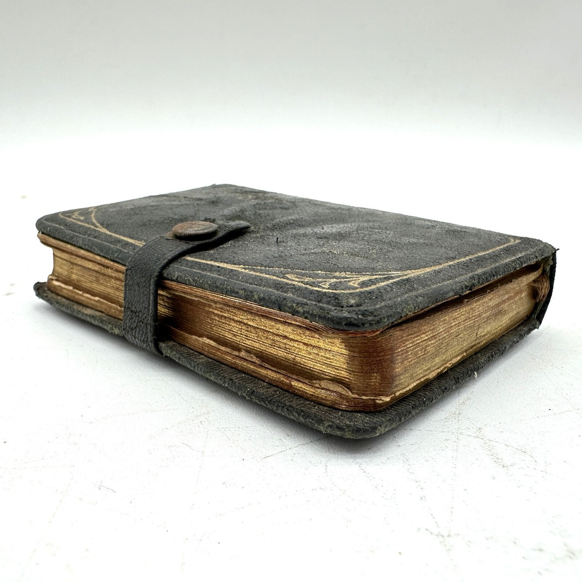 Key for the Bible 聖書を開く鍵 DVD 2枚組 イスラエル紀行 Key for the Bible 聖書を開く鍵 DVD 2枚組 イスラエル紀行 DVD