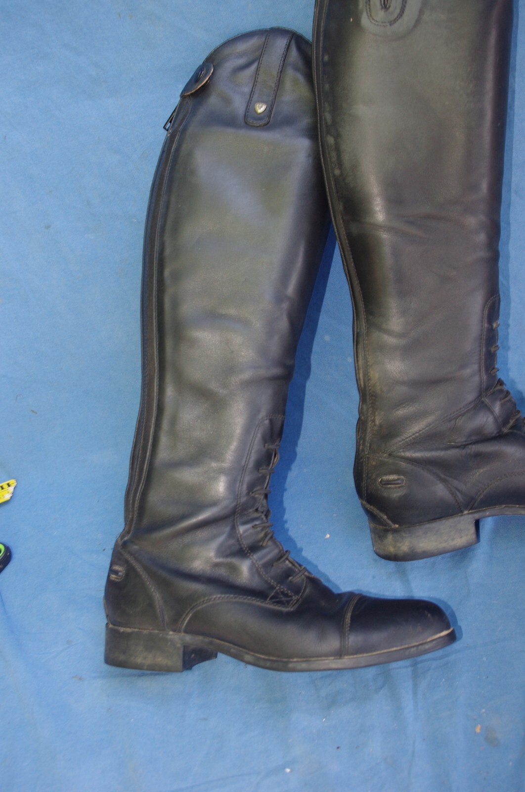 Ariat 10010174 купить в Америке, лот 