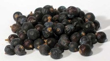 Juniper Berries Whole 2oz Juniperus communis 