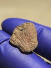 NWA 2907 Ungrouped Achondrite Meteorite 1.544g Part Slice Rare COA — photo 4