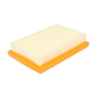 Luftfilter Purflux A1613