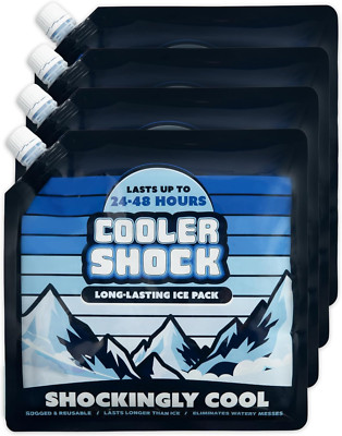 4pcs Reusable Ice Packs for Cooler - Long Lasting Cold Freezer Packs for Coolers