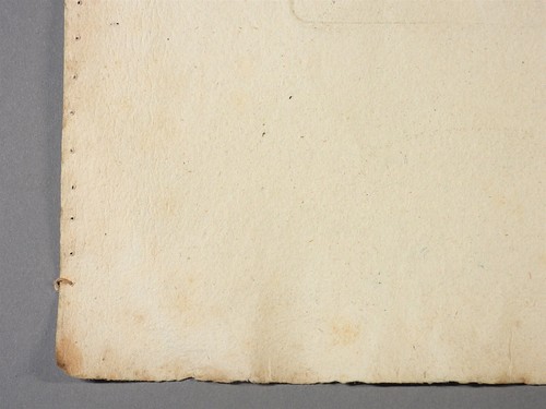 Georg Ehret C.1750 Plantae Selectae Botanical Engraving Tab XLV HELIOCARPVS - Picture 5 of 11