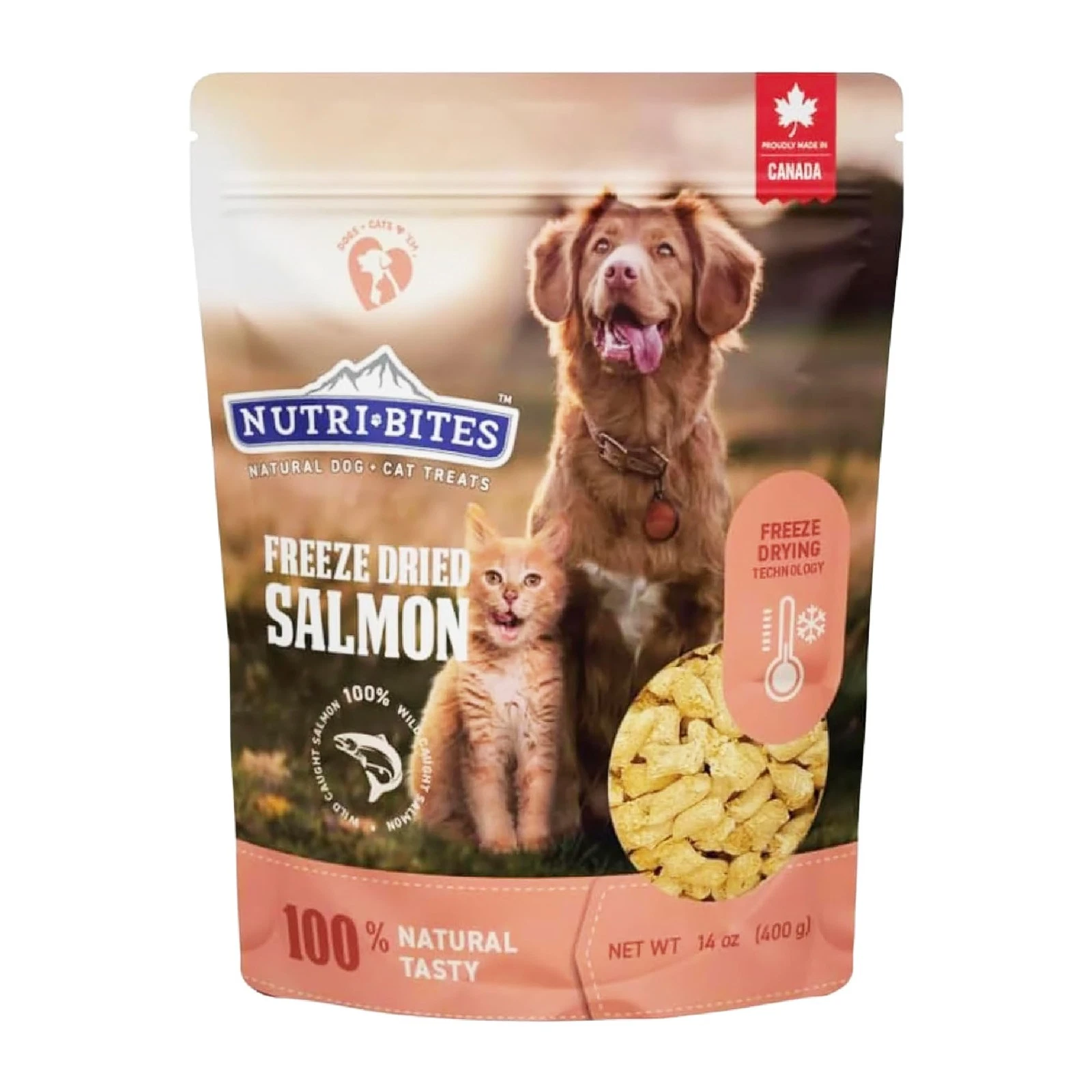 Nutri Bites Freeze Dried Salmon Dog & Cat Treats, 14oz | 14 Ounce (Pack of 1)
