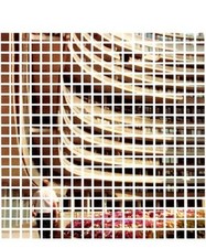 SARAH MORRIS: CAPITAL By Ronald Jones - Hardcover *Excellent Condition*