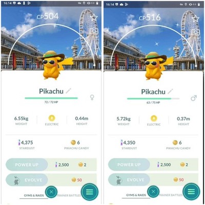  Shiny Pikachu Summer Hat Road Trip 2025 The Hague, Netherlands Background - PTC