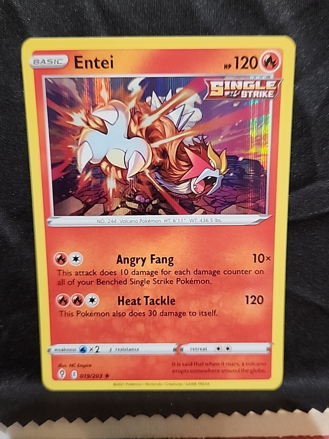 Entei 19/203 Evolving Skies Holo Rare Pokemon Card Pokémon TCG 019