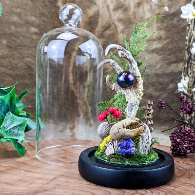 Z30h Chicken Foot Crystal Ball glass Dome Taxidermy Oddities Curiosities Zombie