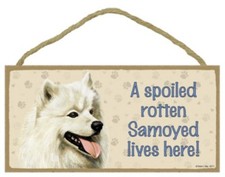 A Spoiled Rotten Samoyed lives here Cute Dog Sign 5"x10" Wood Plaque USA 111
