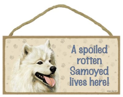 A Spoiled Rotten Samoyed lives here! Cute Dog Sign 5''x10'' Wood Plaque USA 111