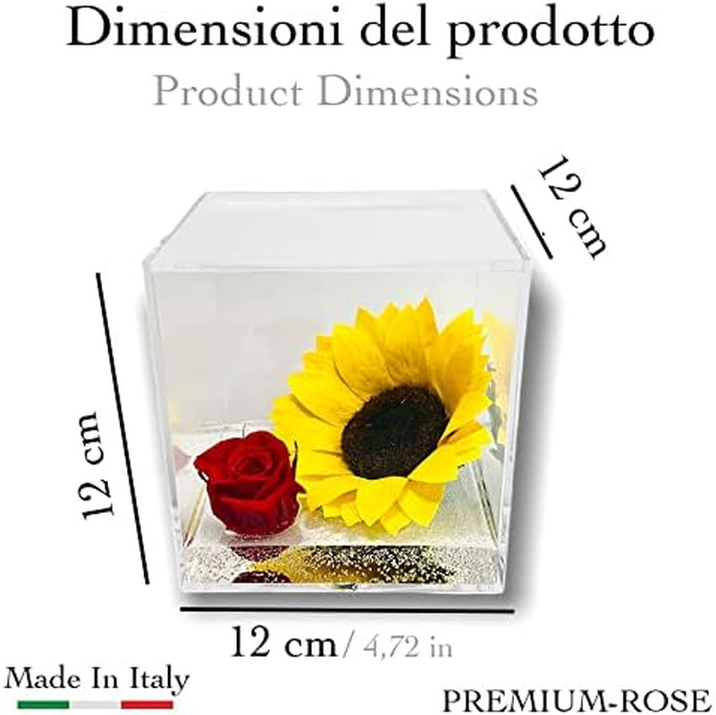 Rosa Stabilizzata Rossa e Girasole in Cubo 12cm PREMIUMROSE - Lusso Vero - 3