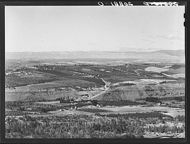 Yakima Valley,Washington,Farm Security Administration,Dorothea Lange,FSA,3