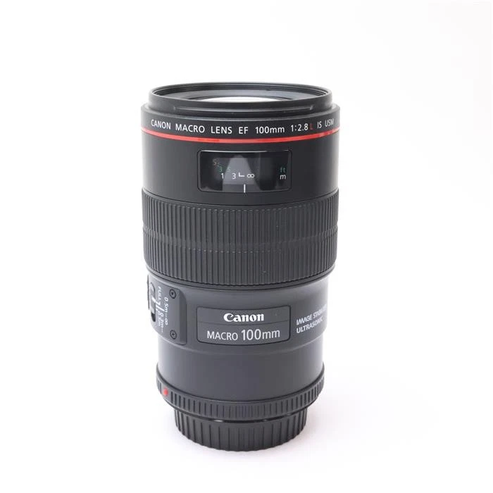 Canon EF f/2.8 100mm Focal Macro/Close Up Lenses for sale | eBay