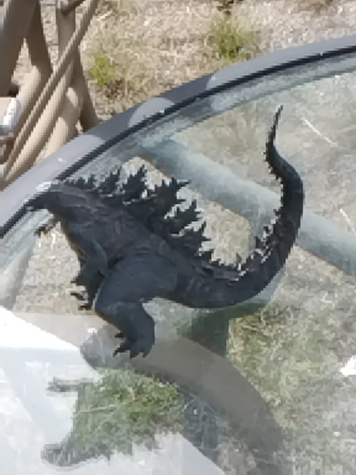 Sega Legendary Godzilla Figure Pre Owned In Good Condition - Image 3 of 4