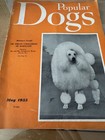 Popular Dogs Magazine May 1955 Miniature Poodle Old Advertising  — photo 1