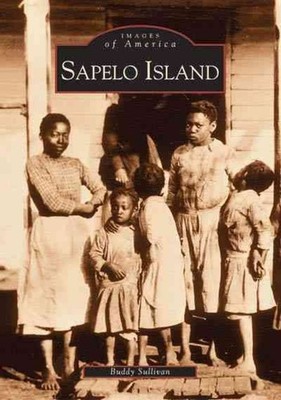 Sapelo Island by Buddy Sullivan (English) Paperback Book