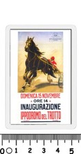 RECENTE calamita  ippodromo trotto milano cavalli corsa fantino san siro gara