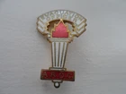 Very Rare WW2 Rural District Council ARDC Evacuation Officer   Enamel Badge