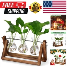 Propagation Stations,Plant Terrarium with Retro Wooden Stand, Unique Gardenin...