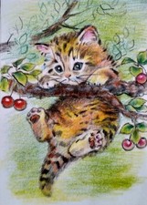 ACEO cat watercolor pencil by the author original 3,5"х2,5" 9x6cm not print