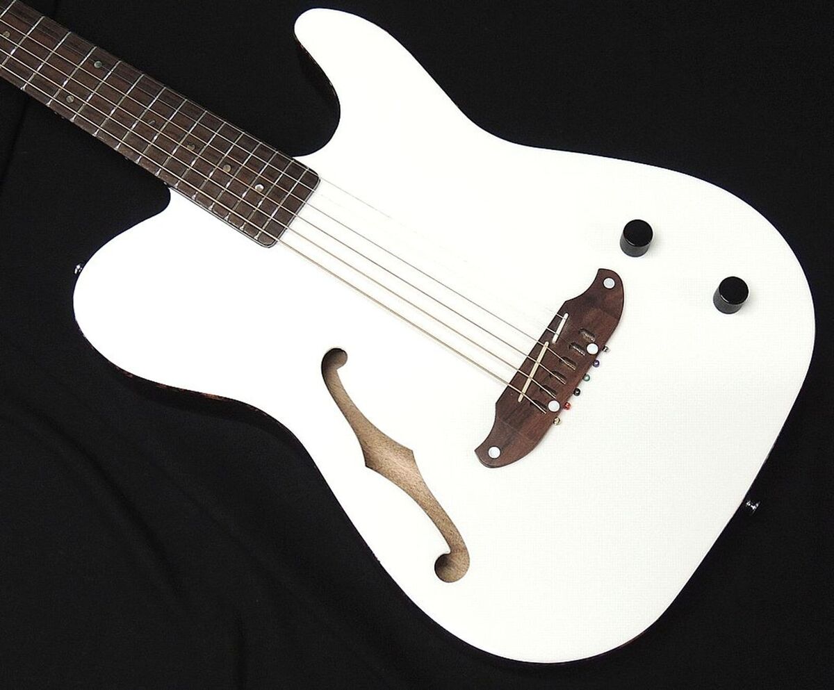 SCHECTER OL FL P WHT Oriental Line white Brand New | eBay SCHECTER OL FL P WHT Oriental Line white Brand New | eBay