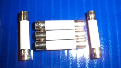 5 Microwave Ceramic Fuses Fast Blow 20A 6x30mm  (1/4 X 1-1/4 '') 20 AMP