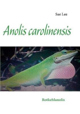 Anolis Carolinensis