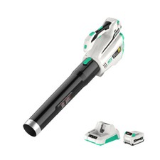 LitheLi 40V Leaf Blower Cordless Electric Brushless w/ 2.5AH Battery and Charger